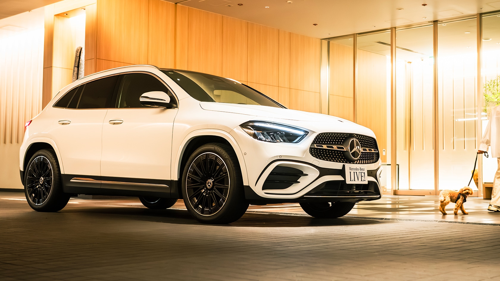 MB x GLA Pet_2509_KV_1680x945.jpg